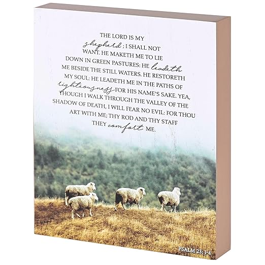 DIC  TPLK810-95 PLAQUE PSALM 23 8X10
