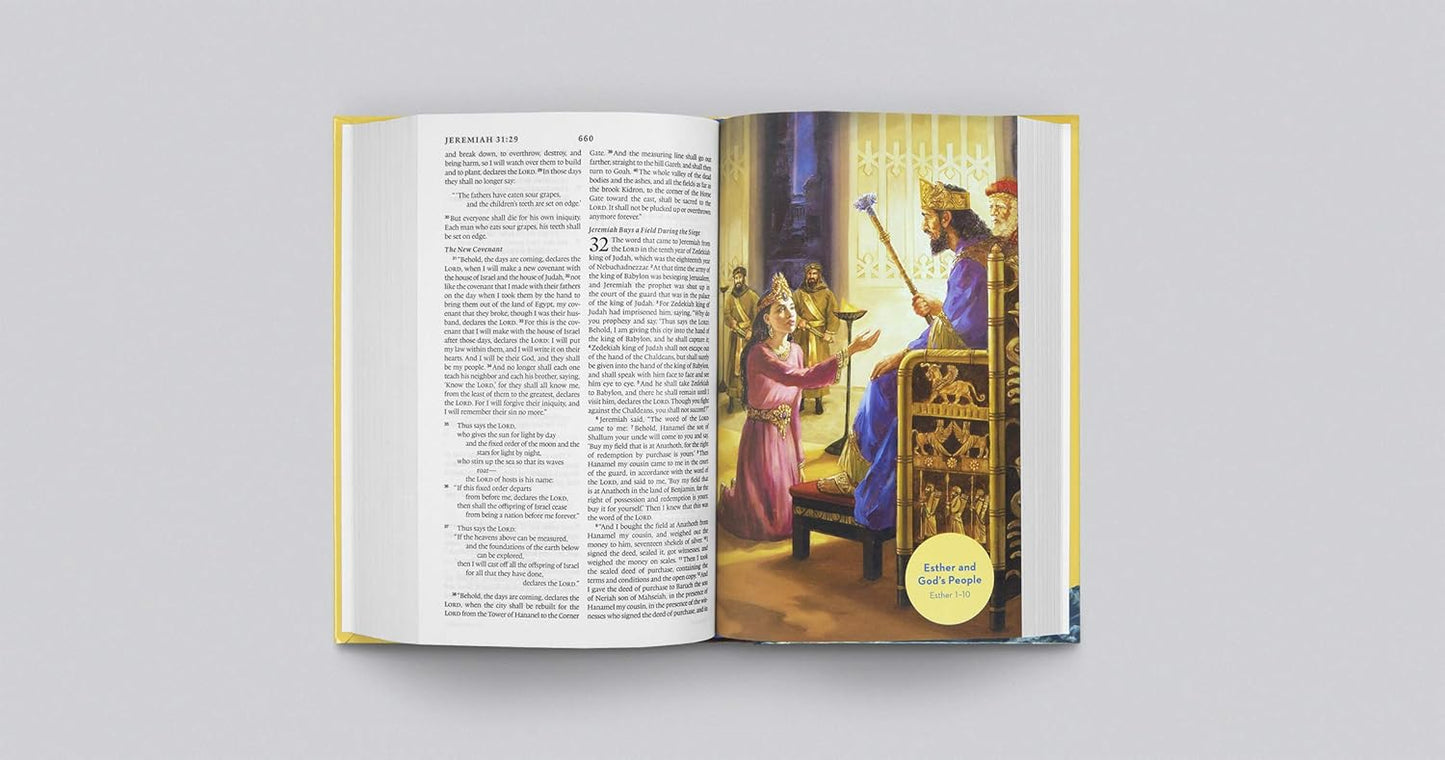 KIDS BI ESV HOLY BIBLE FOR KIDS STANDARD SZ HC