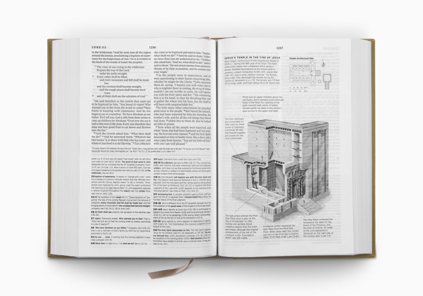 ESV SYSTEMATIC THEOLOGY SB (C/B, OCHRE)