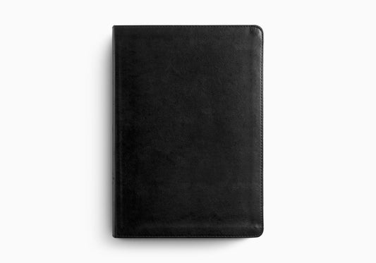 ESV LARGE PRINT BIBLE TRUTONE BLACK