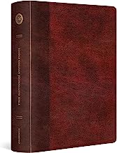 ESV SC LP JOURNALING BI TT BURGUNDY RED