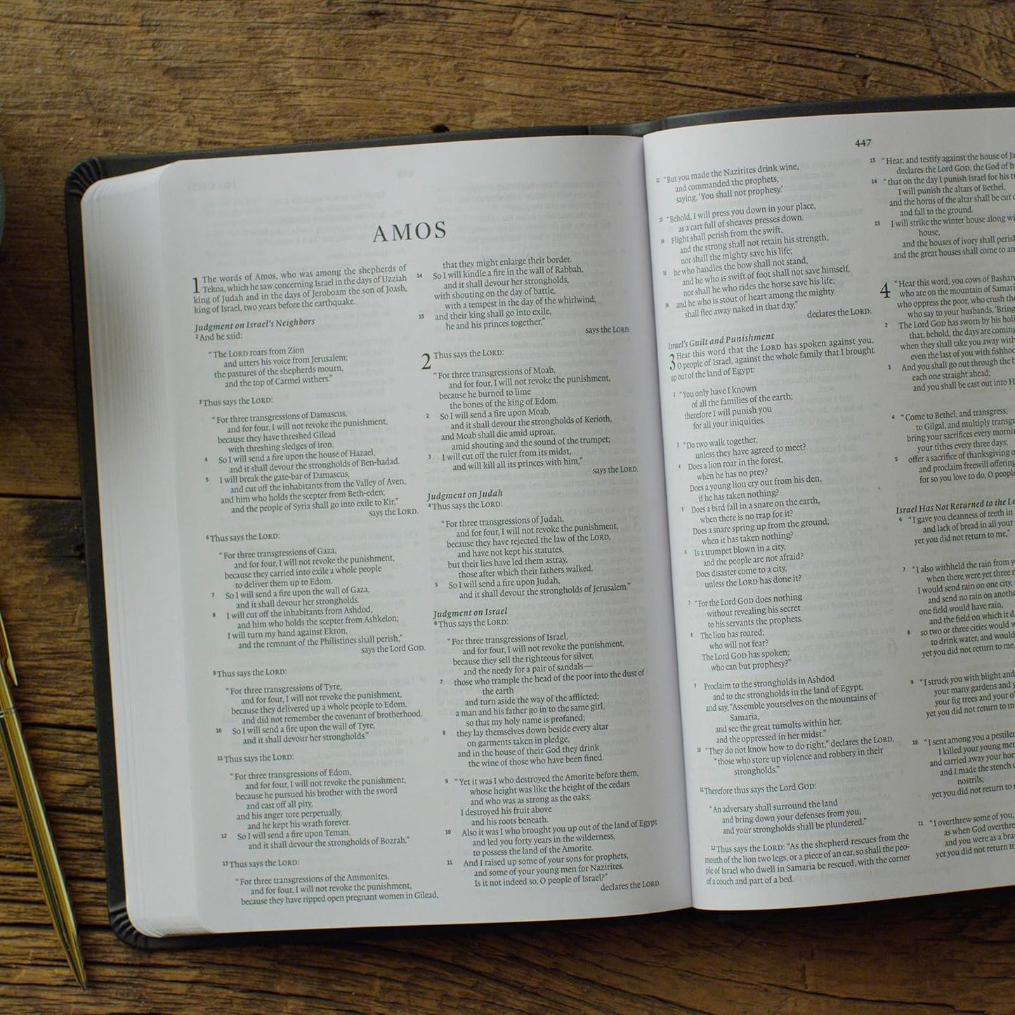 ESV BIBLE GIFT AND AWARD TRUTONE BLACK