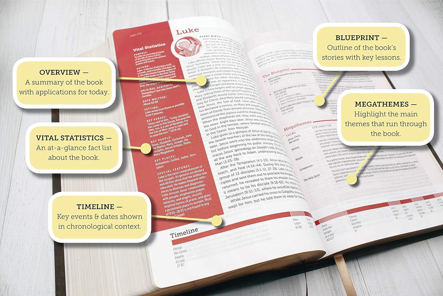 NIV LIFE APPLICATION STUDY BI