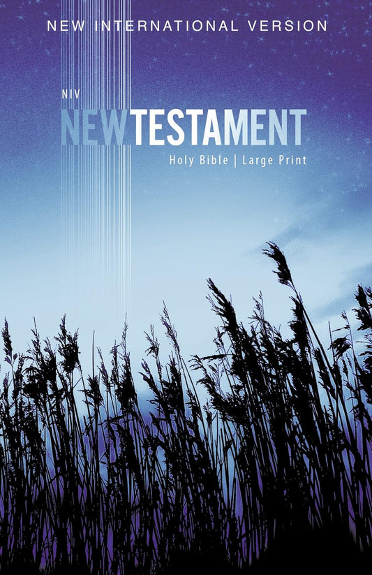 NIV NT OUTREACH BI LP