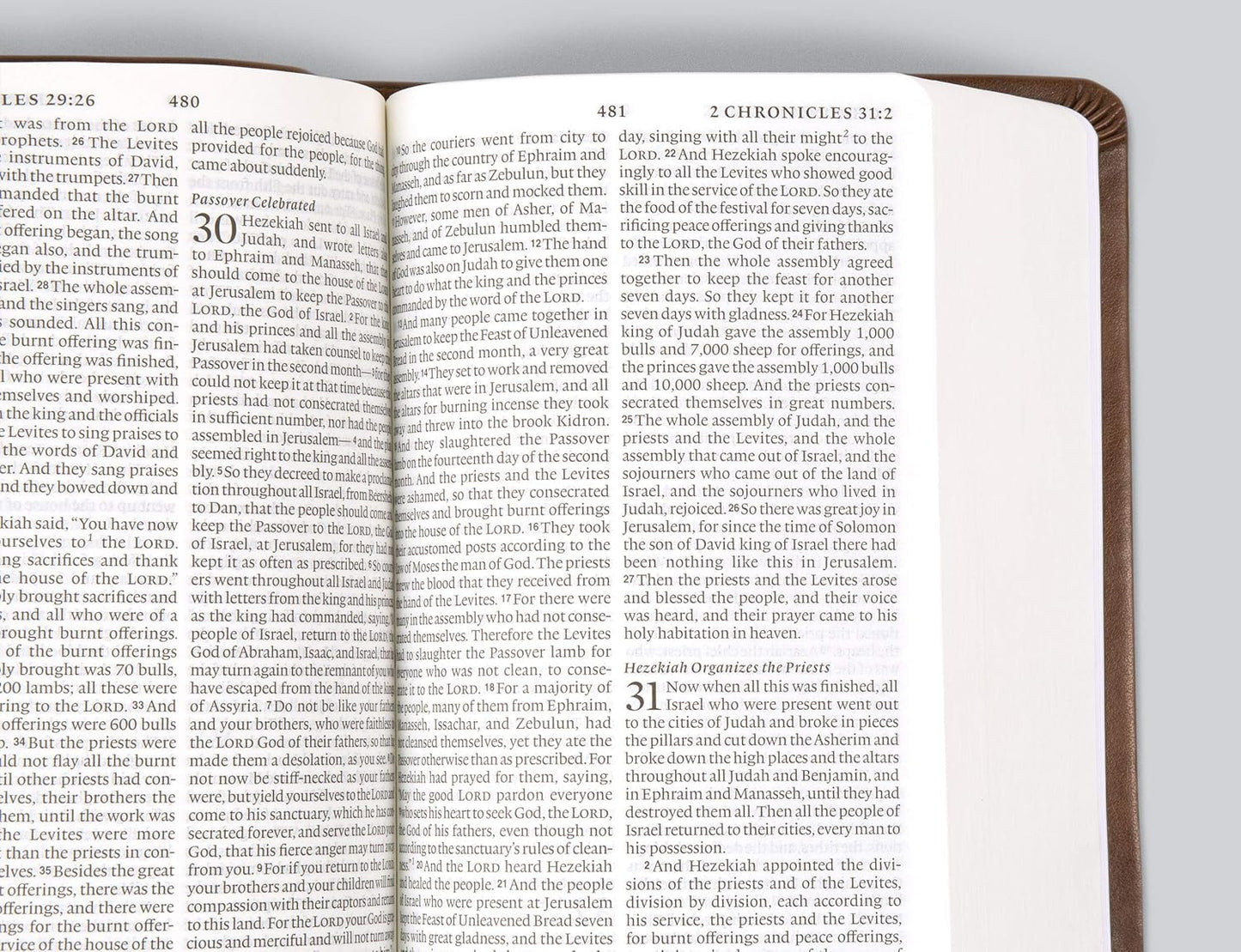 ESV LARGE PRINT COMPACT BI TT MAHOGANY