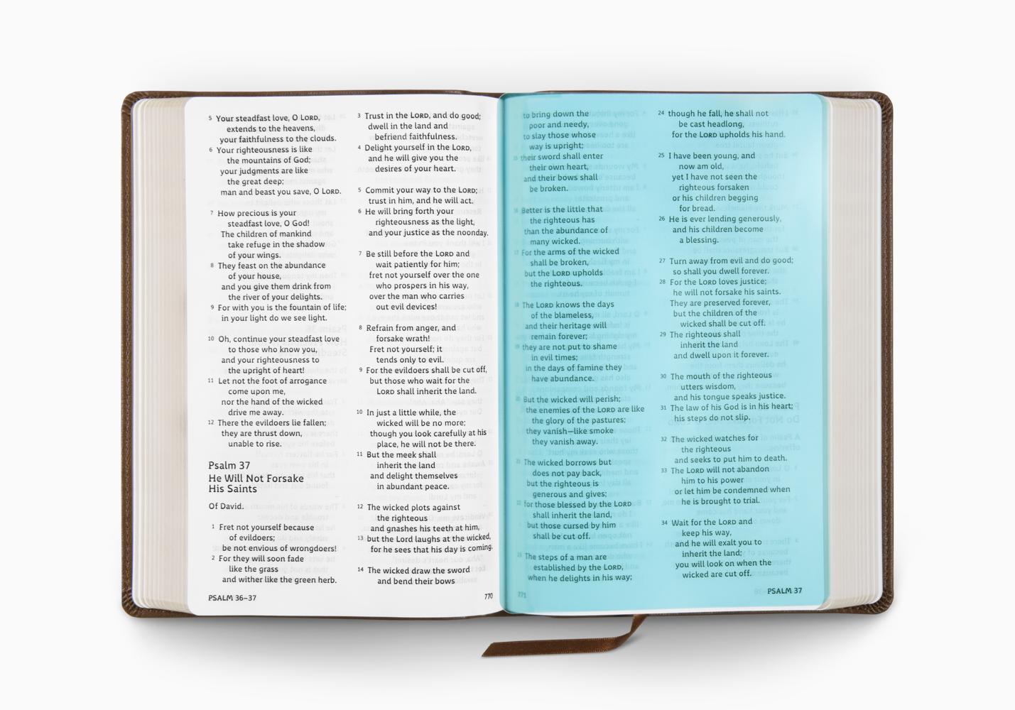 ESV HOLY BIBLE: DYSLEXIA-FRIENDLY ED. TT