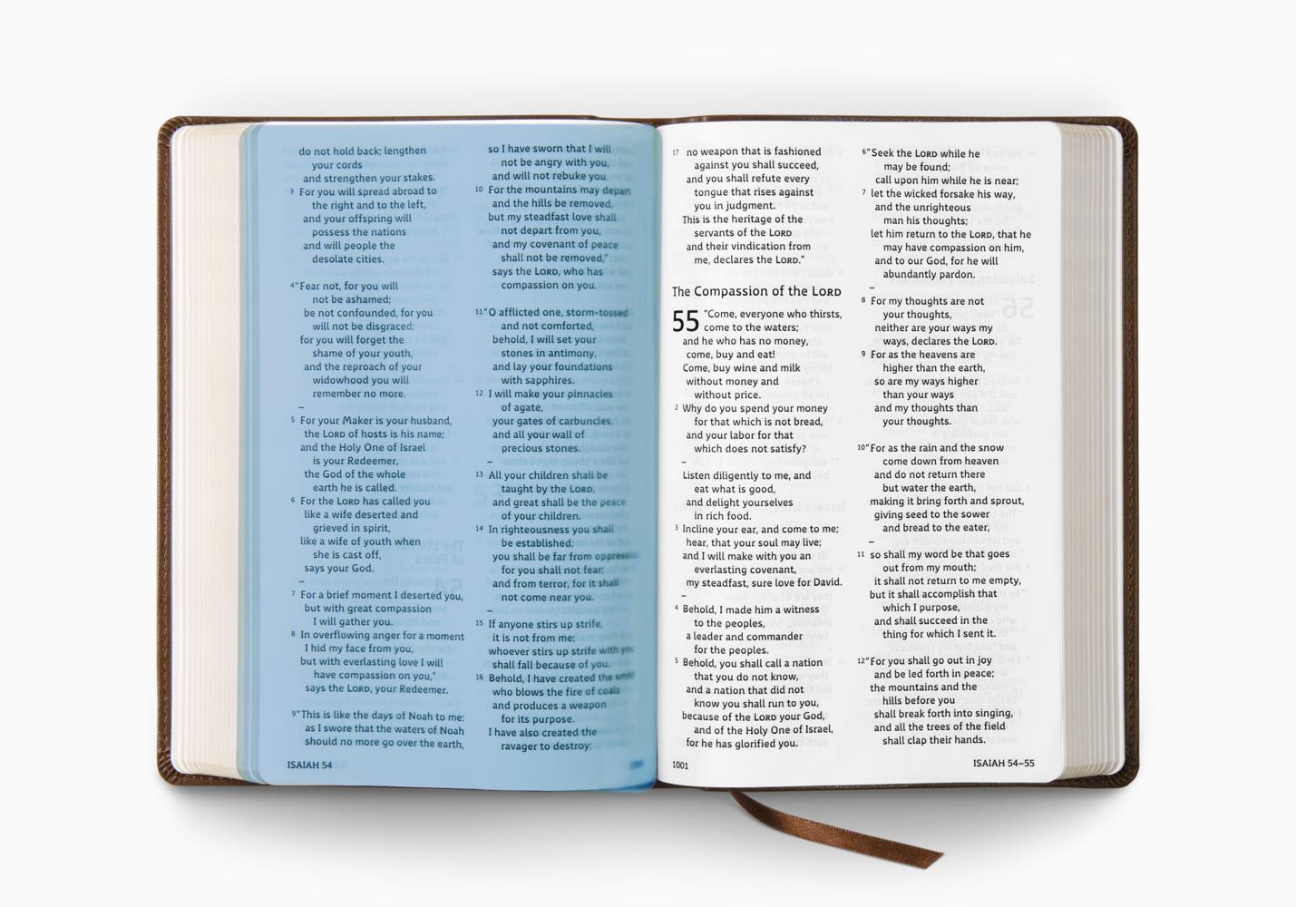 ESV HOLY BIBLE: DYSLEXIA-FRIENDLY ED. TT