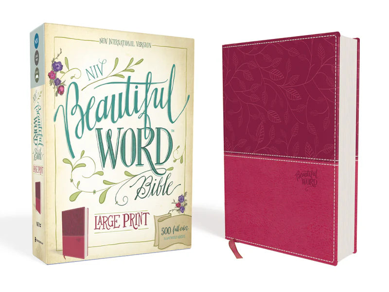 NIV BEAUTIFUL WORD BIBLE LP LS