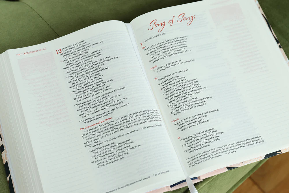 NIV JOURNAL THE WORD TEEN GIRLS HC