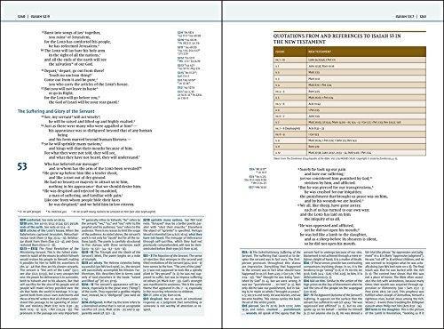 NIV ZON BIBLICAL THEOLOGY STUDY BI HARDCOVER