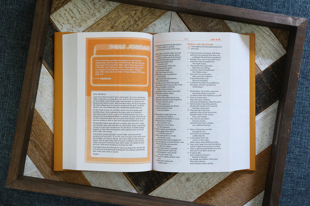 KJV TEEN STDY BIBLE HC
