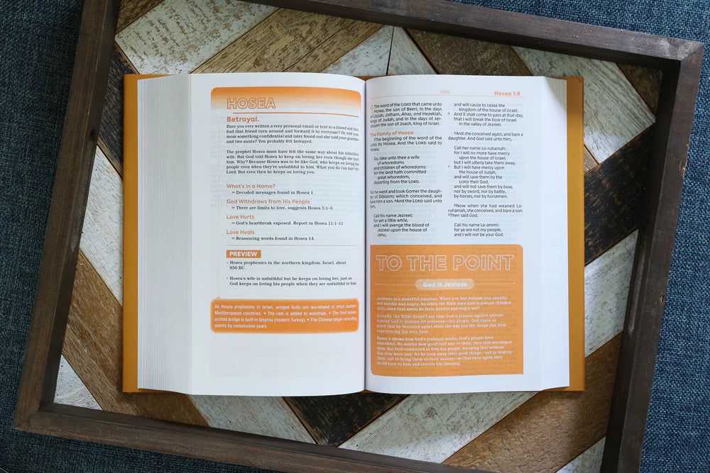 KJV TEEN STDY BIBLE HC