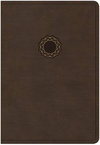 KJV HOL DELUXE GIFT BIBLE PERSONAL SZ LT BROWN