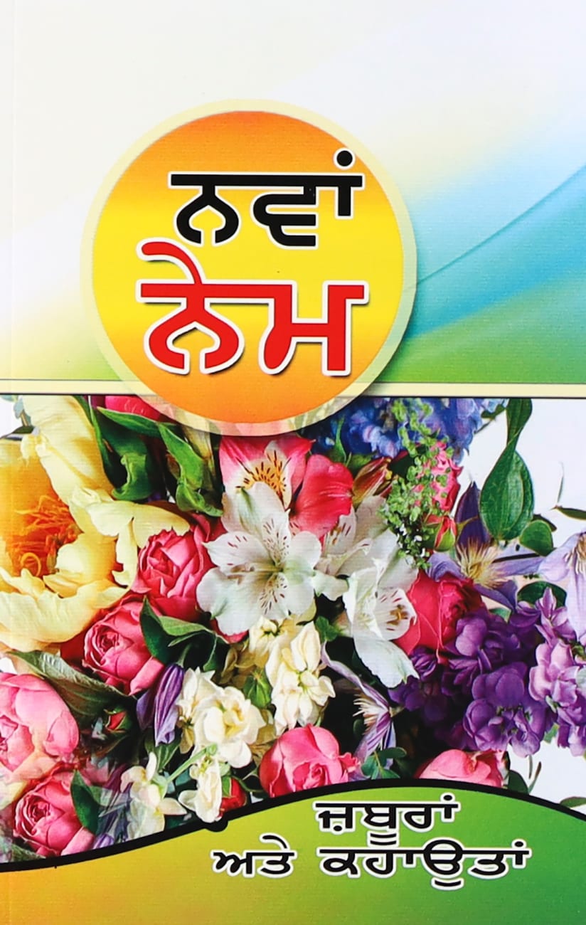 BSI NT PUNJABI OV W PSALMS & PROVERBS PB