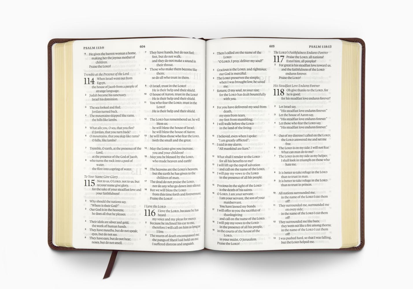 ESV LARGE PRINT BIBLE TT, DEEP BROWN