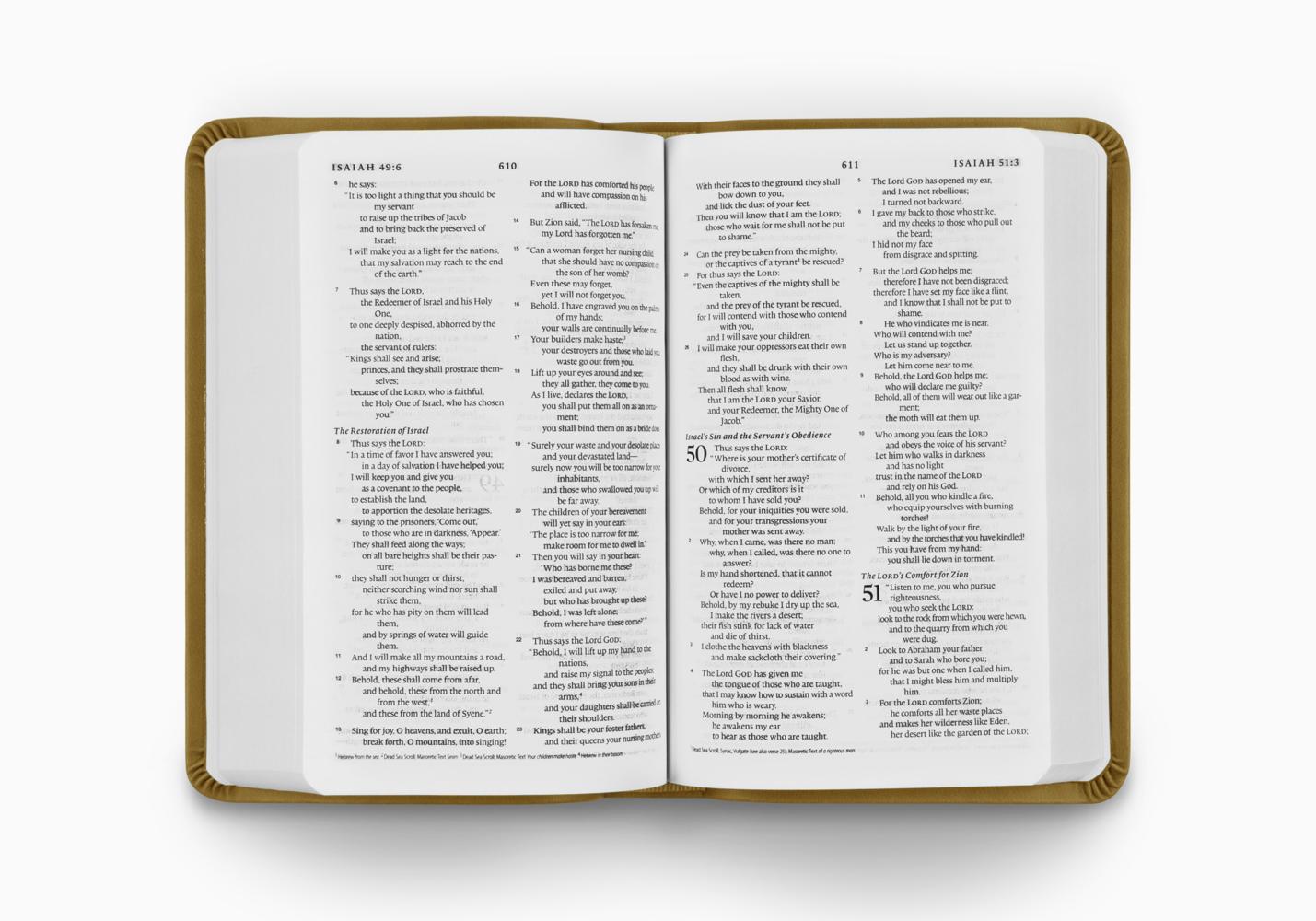 ESV VALUE COMPACT BI TT GOLDENROD