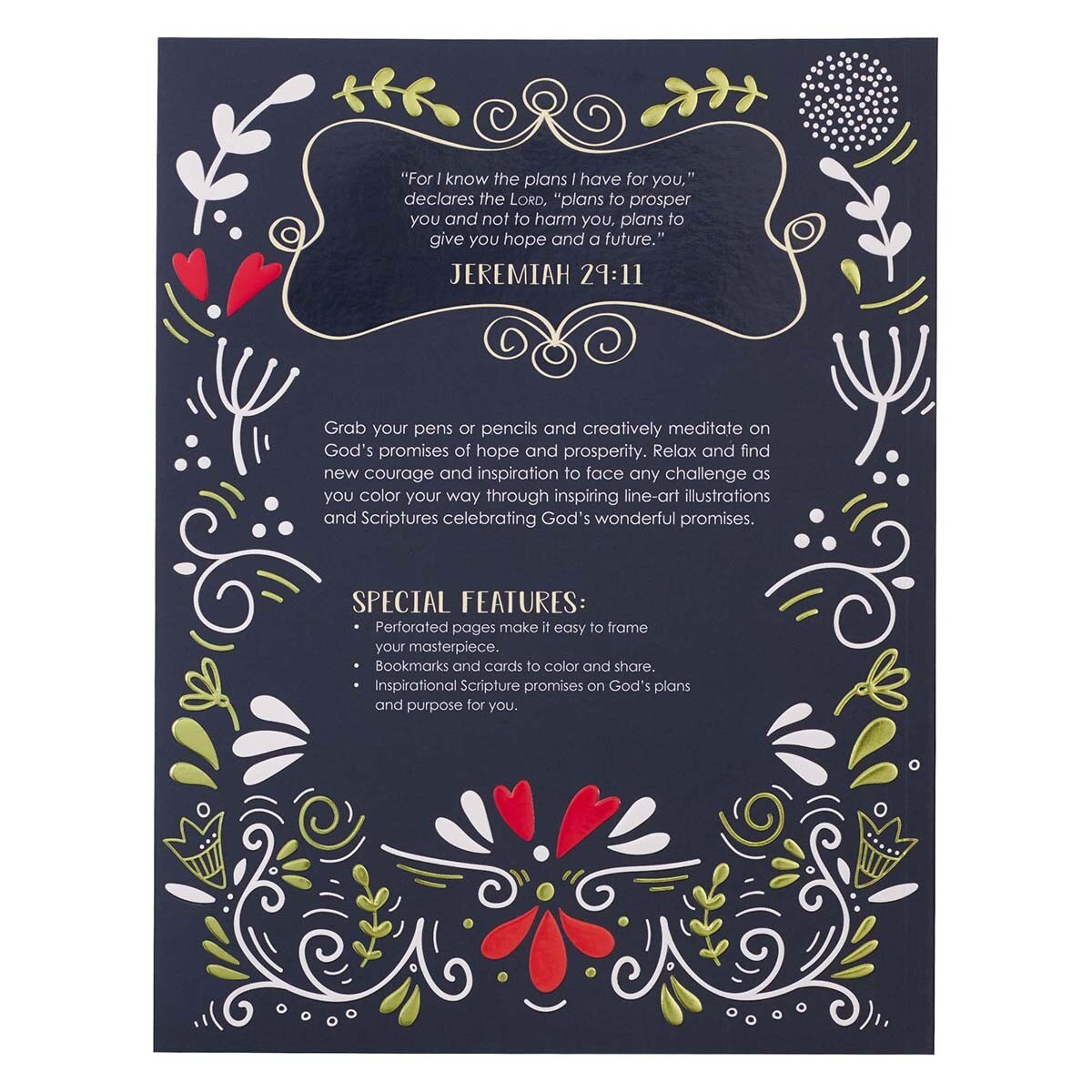 CAG CLR045 COLORING BOOK I KNOW THE PLANS