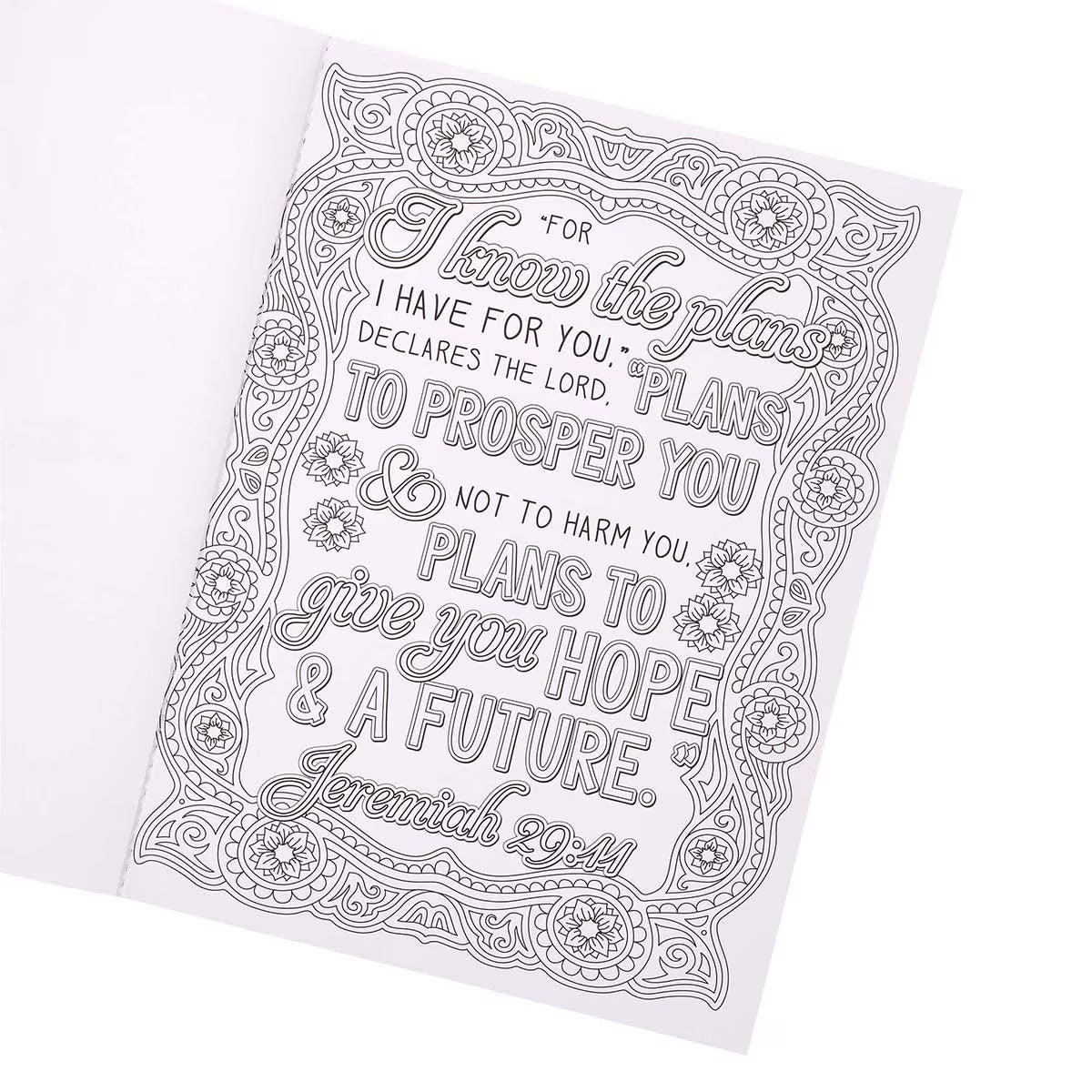 CAG CLR045 COLORING BOOK I KNOW THE PLANS