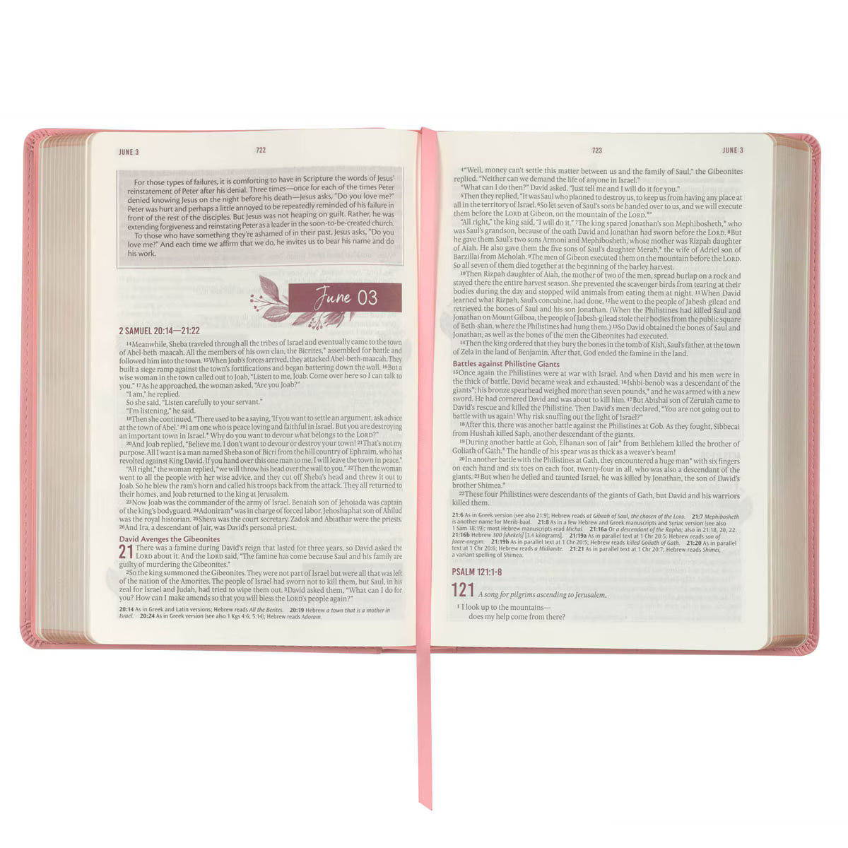 CAG DVB005 DEVOTIONAL  BIBLE  NLT  FOR  WOMEN  FAUX LEATHER, PINK
