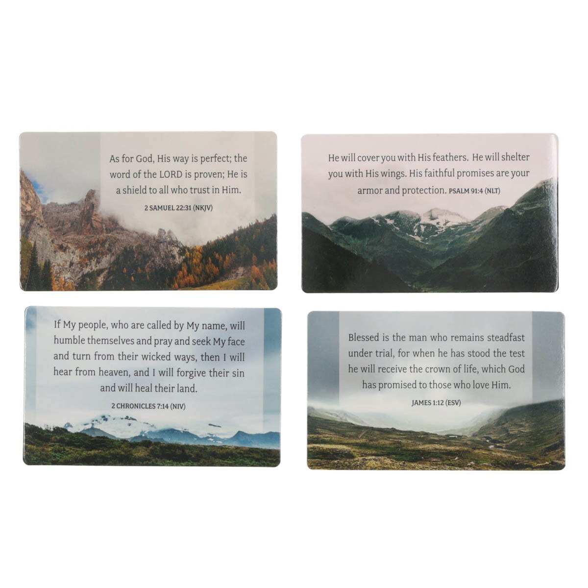 FAITH BUILDERS: FAB042 GOD'S PROMISES FOR YOU