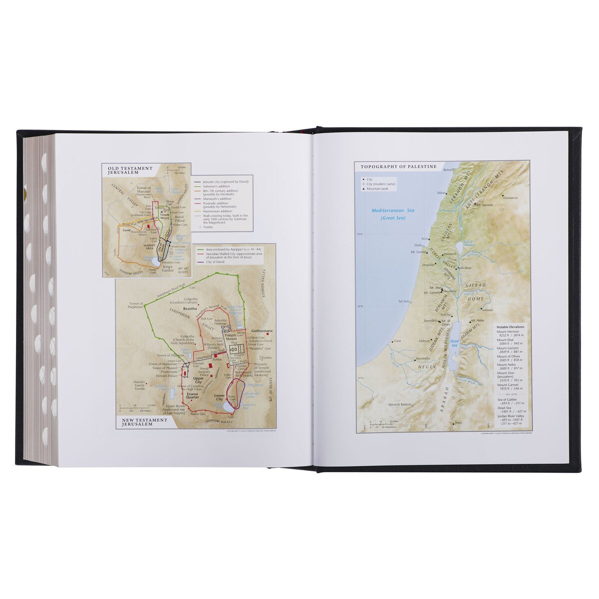 CAG FHB001 NLT, THE FAMILY HERITAGE BIBLE FULL GRAIN LEATHER HARDCOVER, BLACK