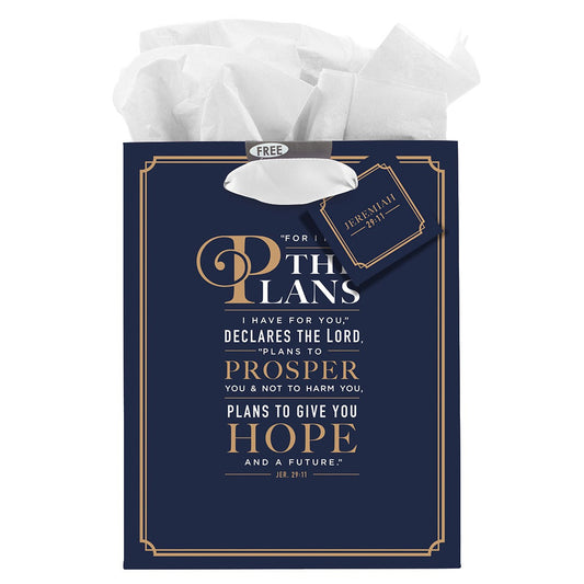 CAG GBA222 GIFT BAG MED FOR I KNOW