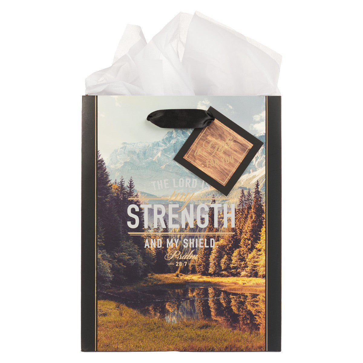 CAG GBA328 GIFT BAG MEDIUM LORD IS MY STRENGTH