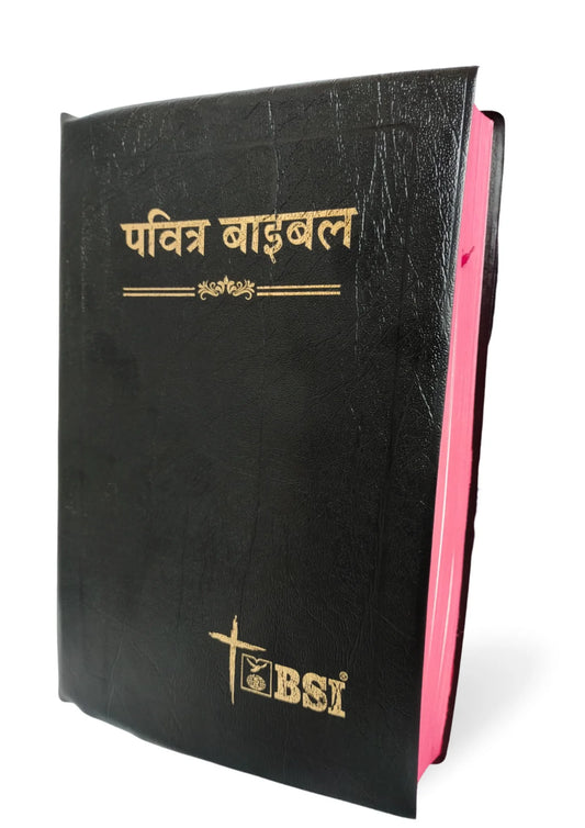 BSI BI HINDI OV DEMY OUTREACH FLEXI COVER