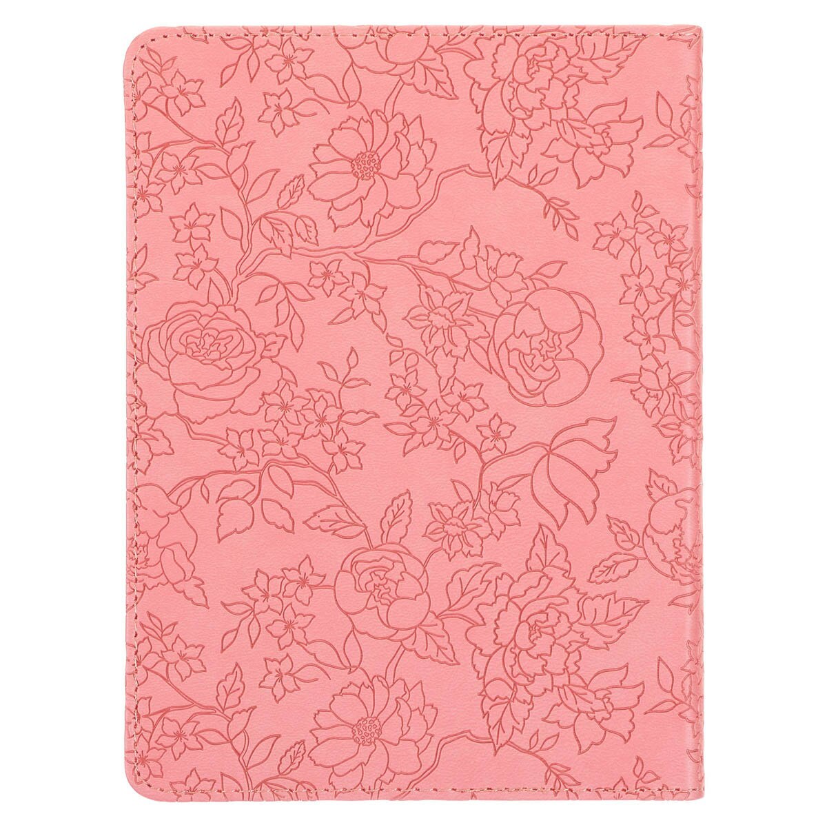 CAG JL676 JOURNAL HANDY PINK MORE PRECIOUS THAN RUBIES PROV. 3:15