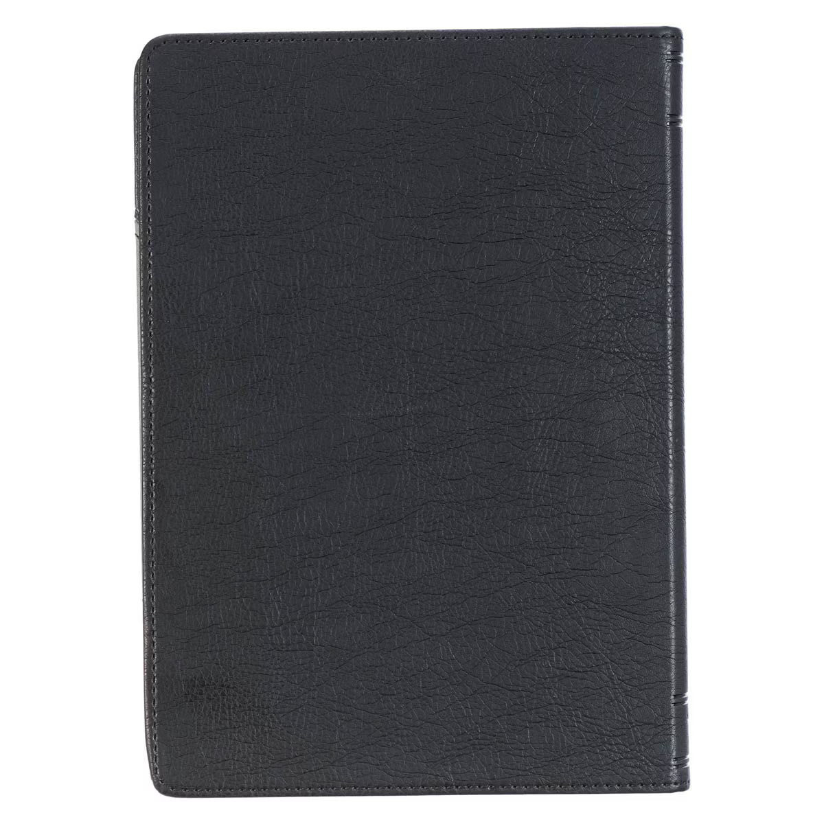 CAG JL806 JOURNAL CLASSIC LION BE STRONG IN THE LORD EPH. 6:10