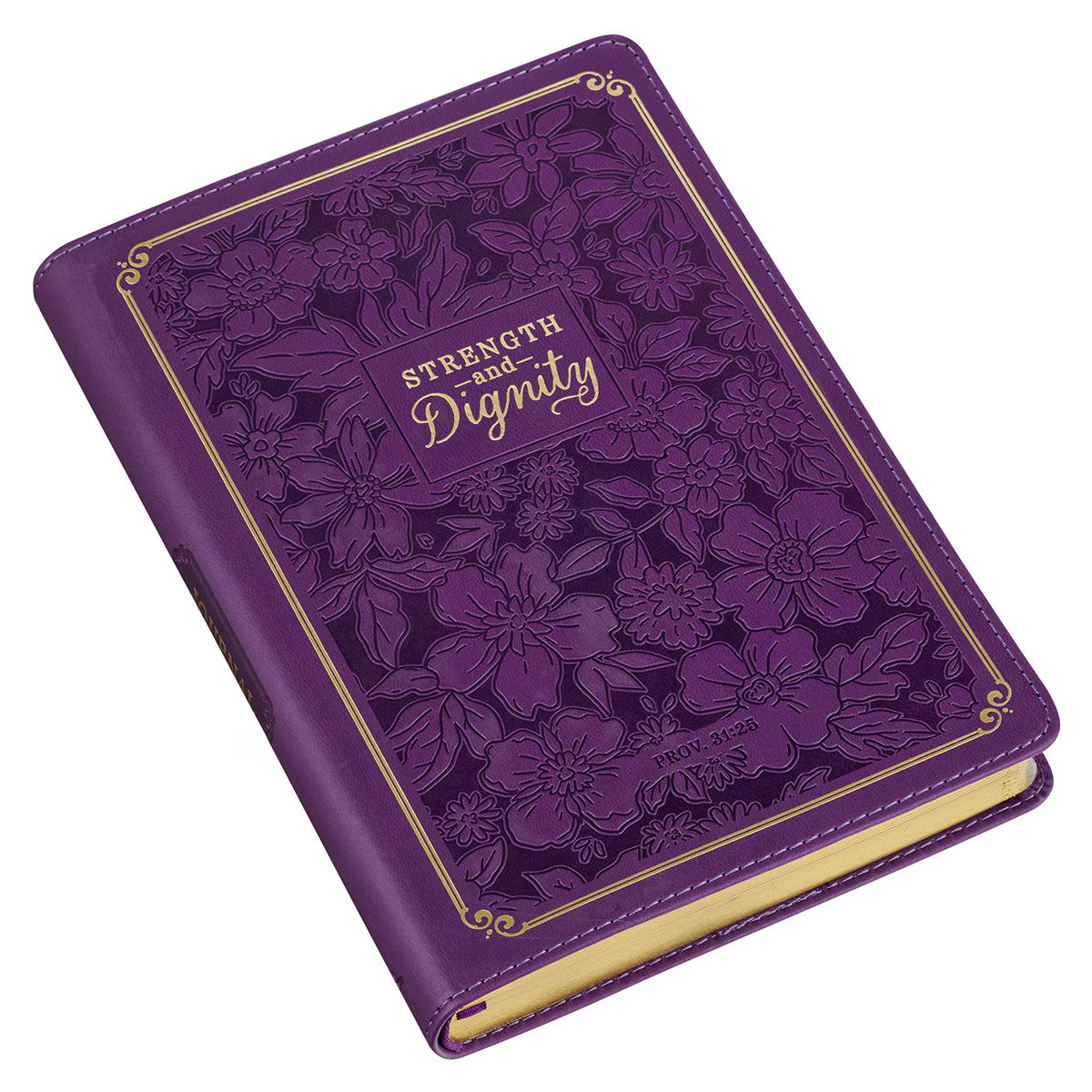 CAG JL854 JOURNAL CLASSIC PURPLE STRENGTH & DIGNITY PROV 31:25