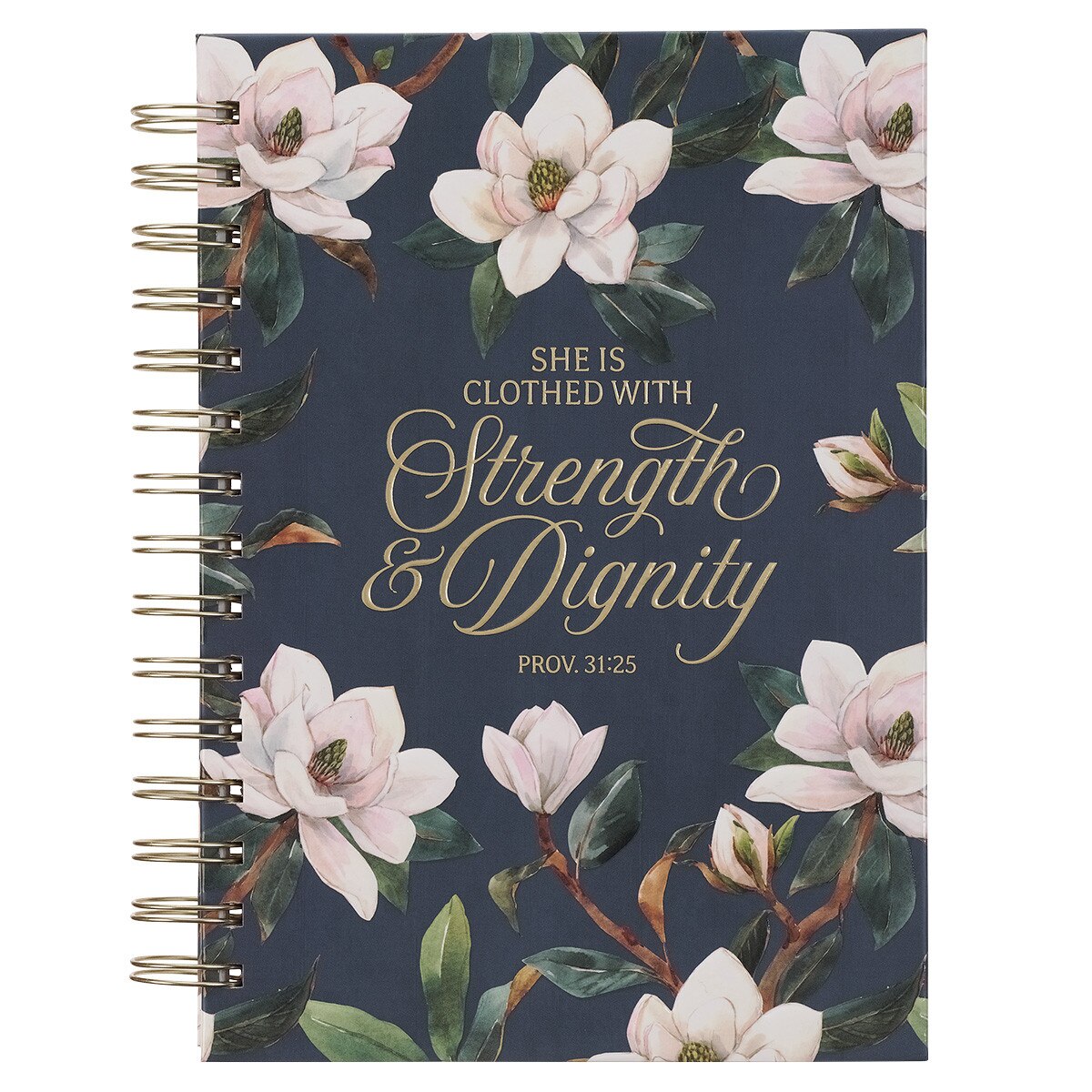 CAG JLW192 JOURNAL  SPIRAL-BOUND  TEAL  STRENGTH  & DIGNITY PROV. 31:25