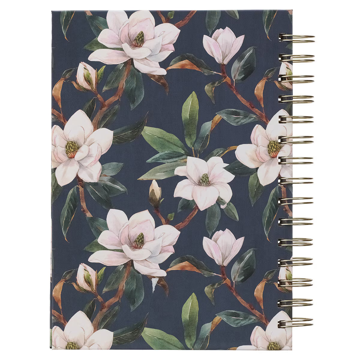 CAG JLW192 JOURNAL  SPIRAL-BOUND  TEAL  STRENGTH  & DIGNITY PROV. 31:25