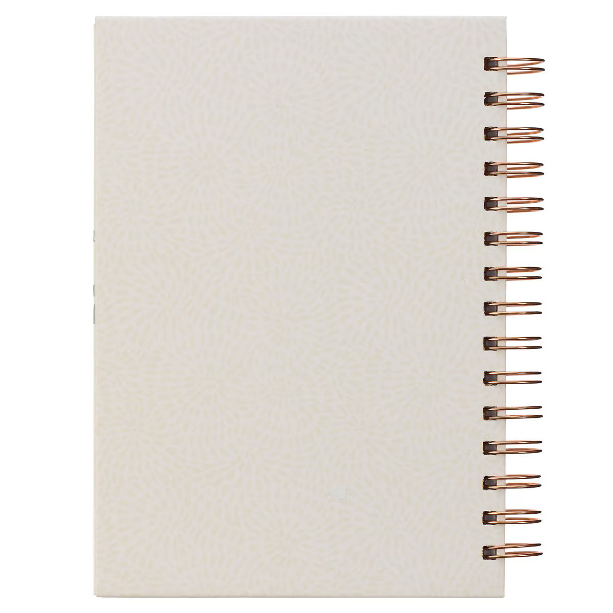 CAG JLW196 JOURNAL SPIRAL-BOUND IVORY LOVE IS PATIENT LOVE IS KIND