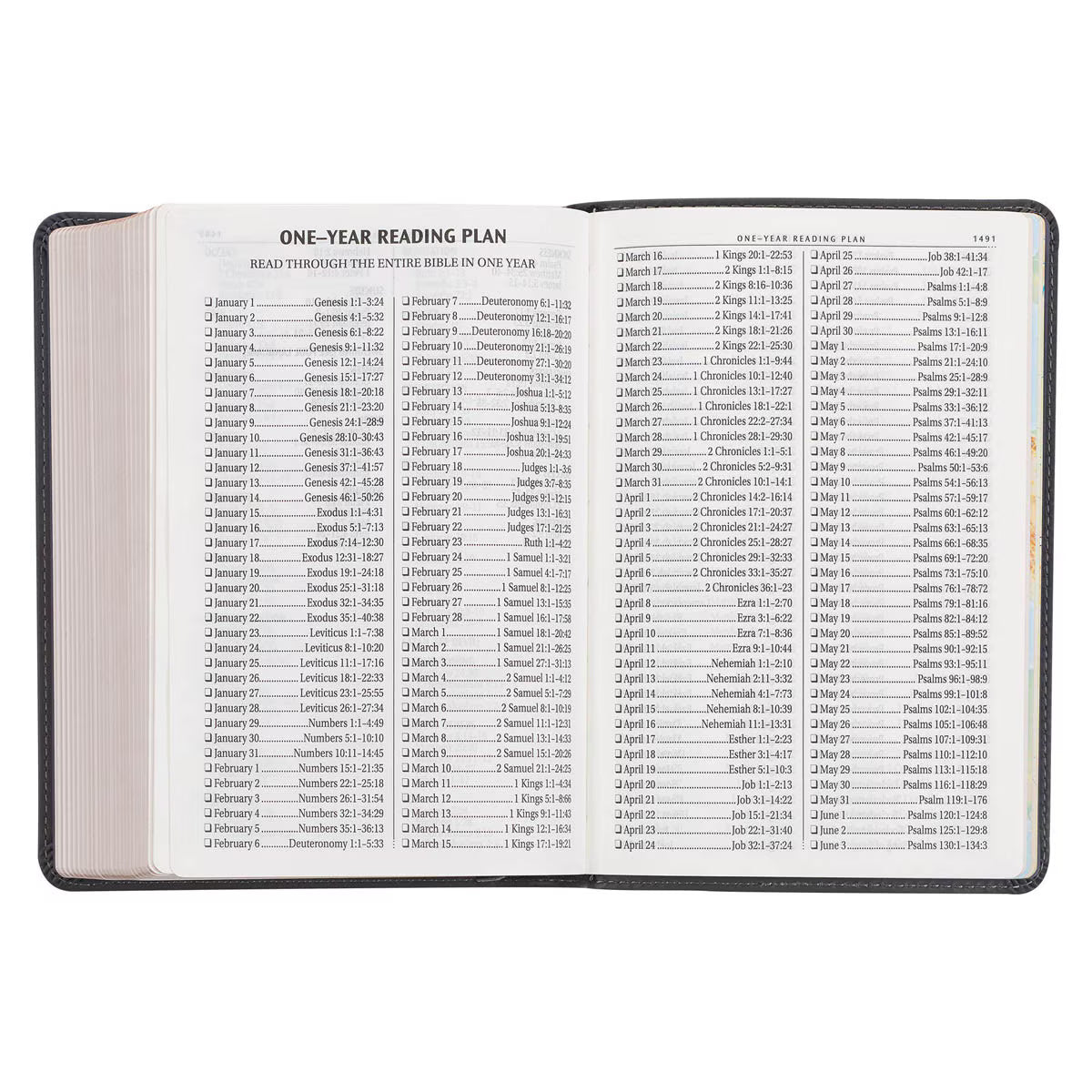 CAG KJV206 KJV BIBLE COMPACT LP FAUX LEATHER, GRAY