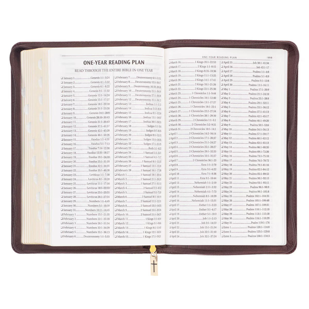 CAG KJV229 KJV  BIBLE  DELUXE  GIFT  FAUX  LEATHER, BROWN LION W/ZIPPER