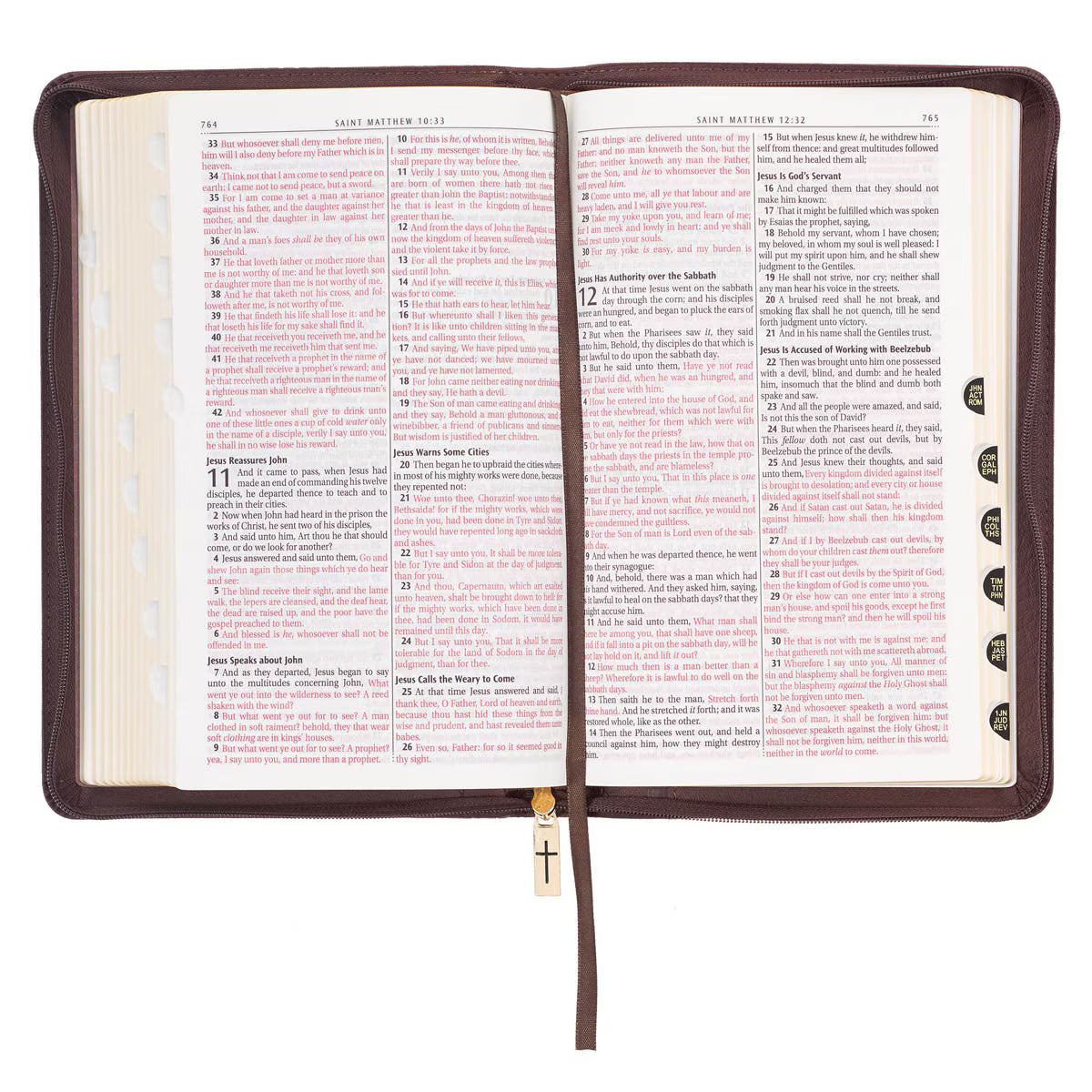 CAG KJV229 KJV  BIBLE  DELUXE  GIFT  FAUX  LEATHER, BROWN LION W/ZIPPER
