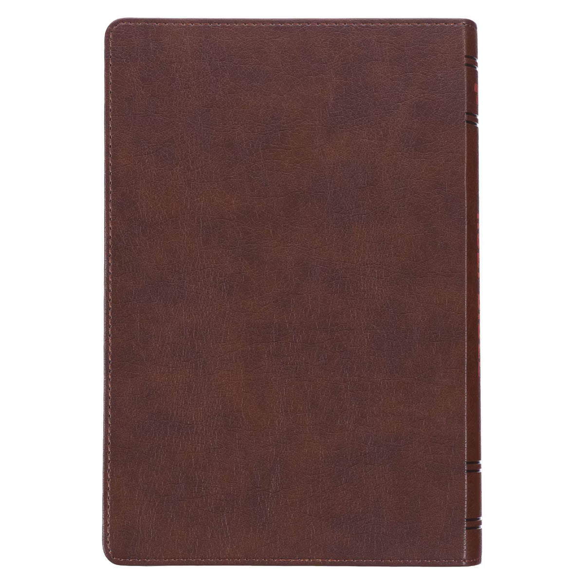 CAG KJV239 KJV BIBLE KID EDITION FAUX LEATHER, BROWN