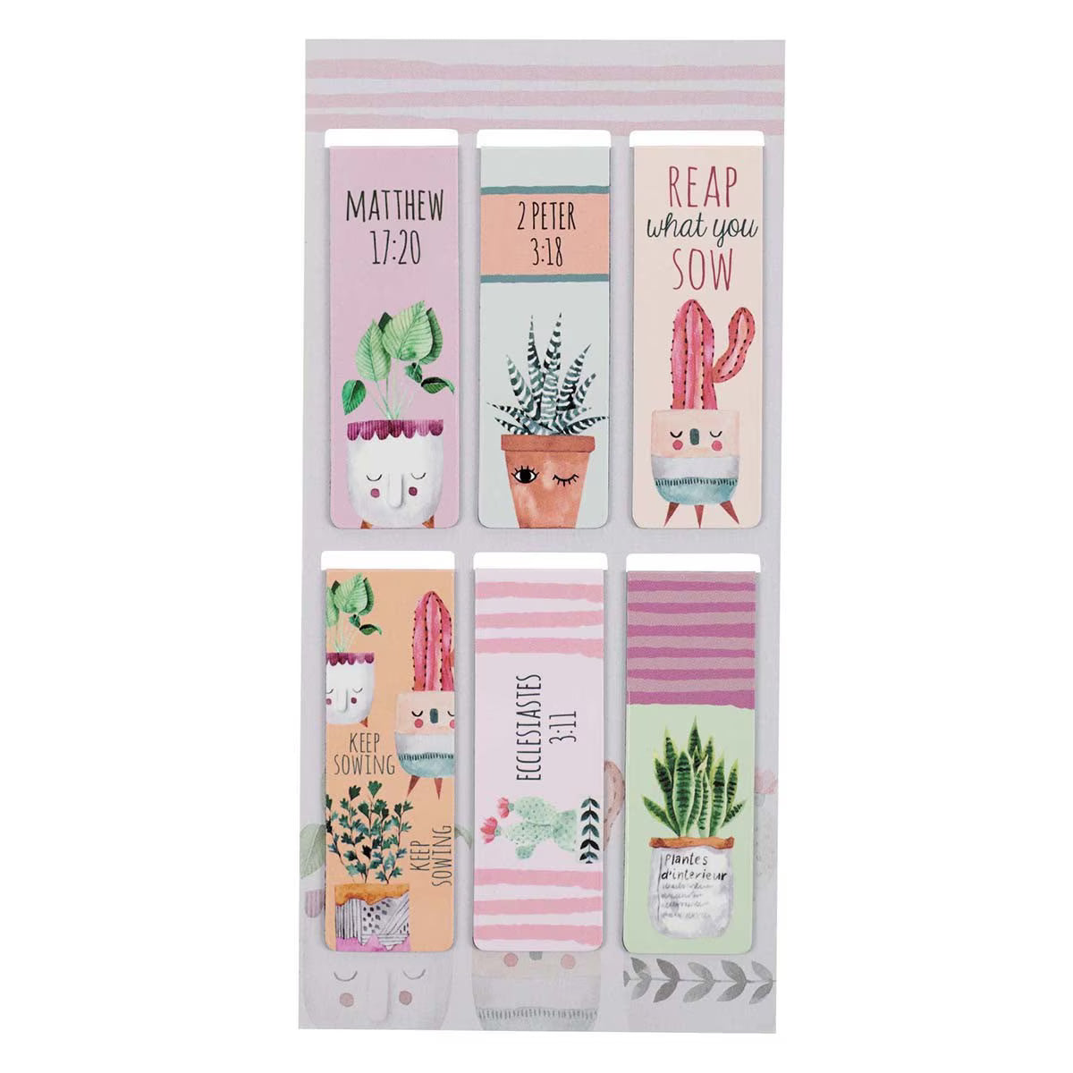 CAG MGB070 MAG PGMK SET6 SUCCULENT GARDEN