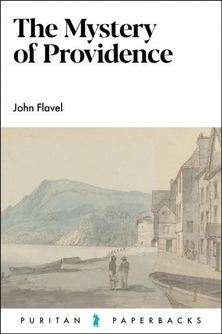 PURITAN PB MYSTERY OF PROVIDENCE JOHN FLAVEL