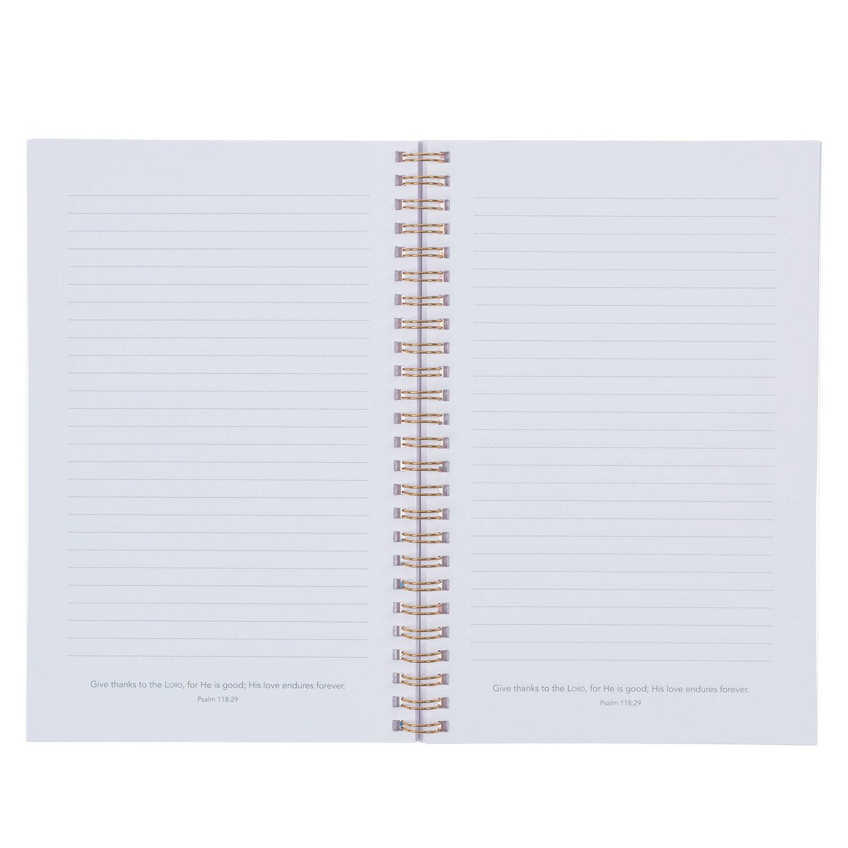 CAG NBW017 NOTEBOOK SPIRAL-BOUND GOODNESS & LOVE PS. 23:6