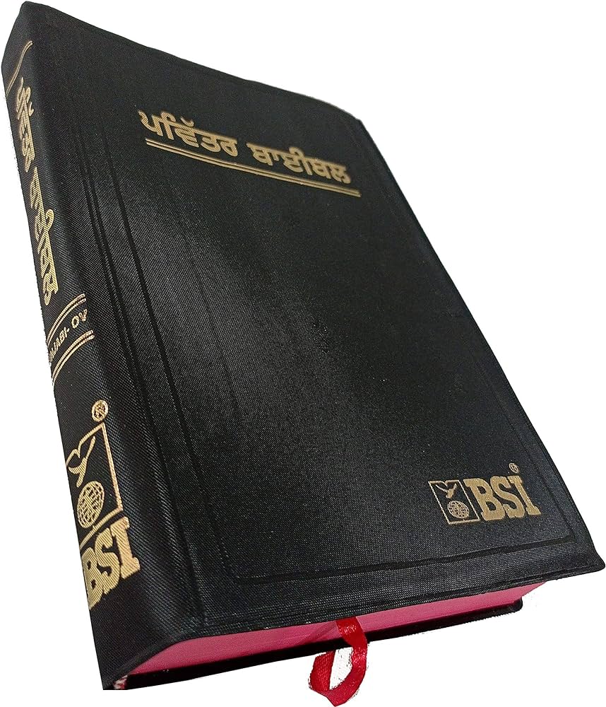 BSI BI PUNJABI OV FLEX MISSION ED