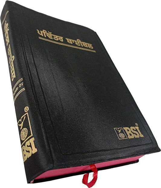 BSI BI PUNJABI OV FLEX MISSION ED