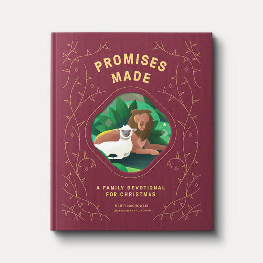PROMISES MADE PROMISES KEPT