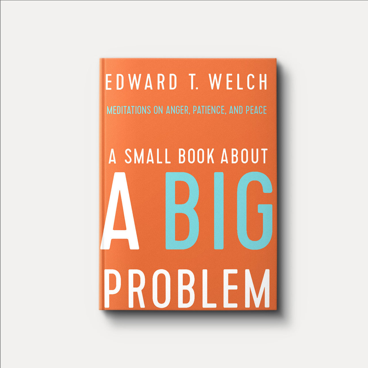 A SMALL BOOK ABOUT A BIG PROBLEM ANGER PATIENCE PE
