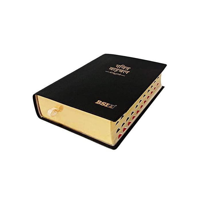 BSI HINDI BIBLE COMPACT OV25 BIBLE GILT TI