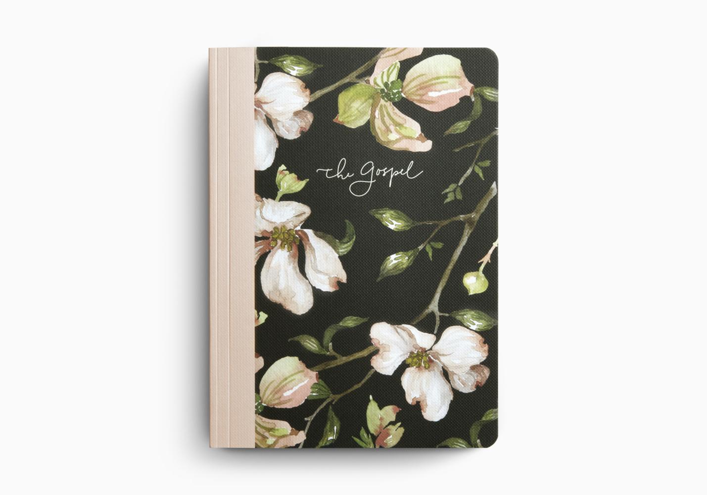ESV PRAYER JOURNAL: 30 DAYS ON THE GOSPEL PB