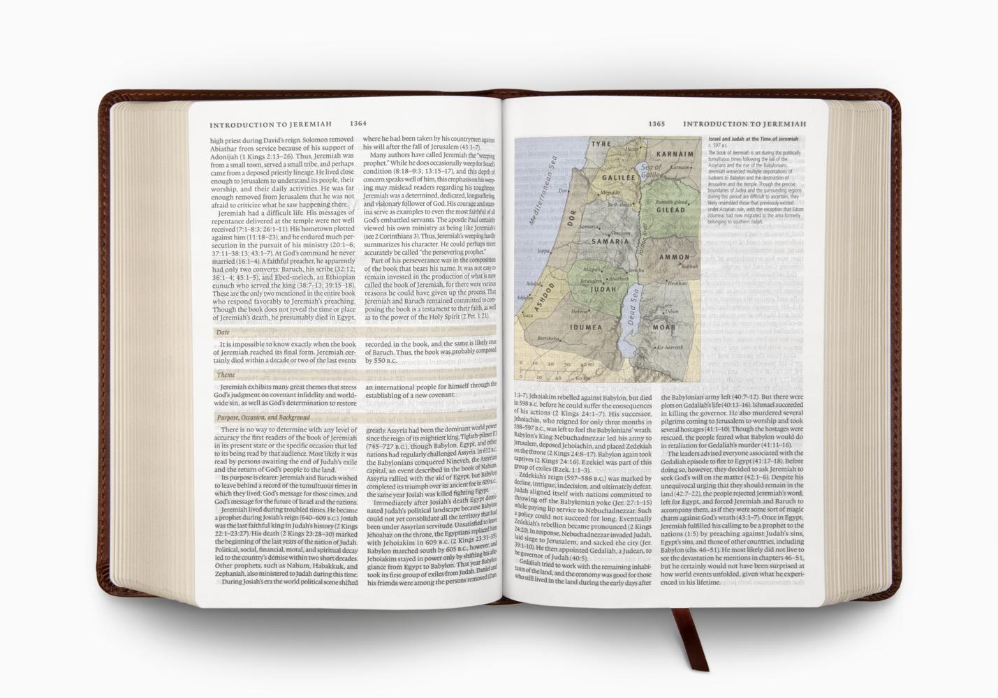 ESV STUDY BIBLE PERSONAL SZ TT BROWN