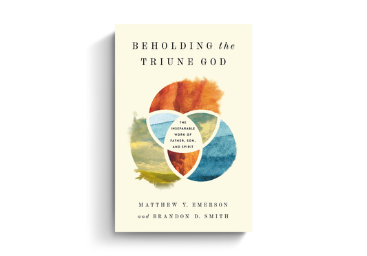 BEHOLDING THE TRIUNE GOD