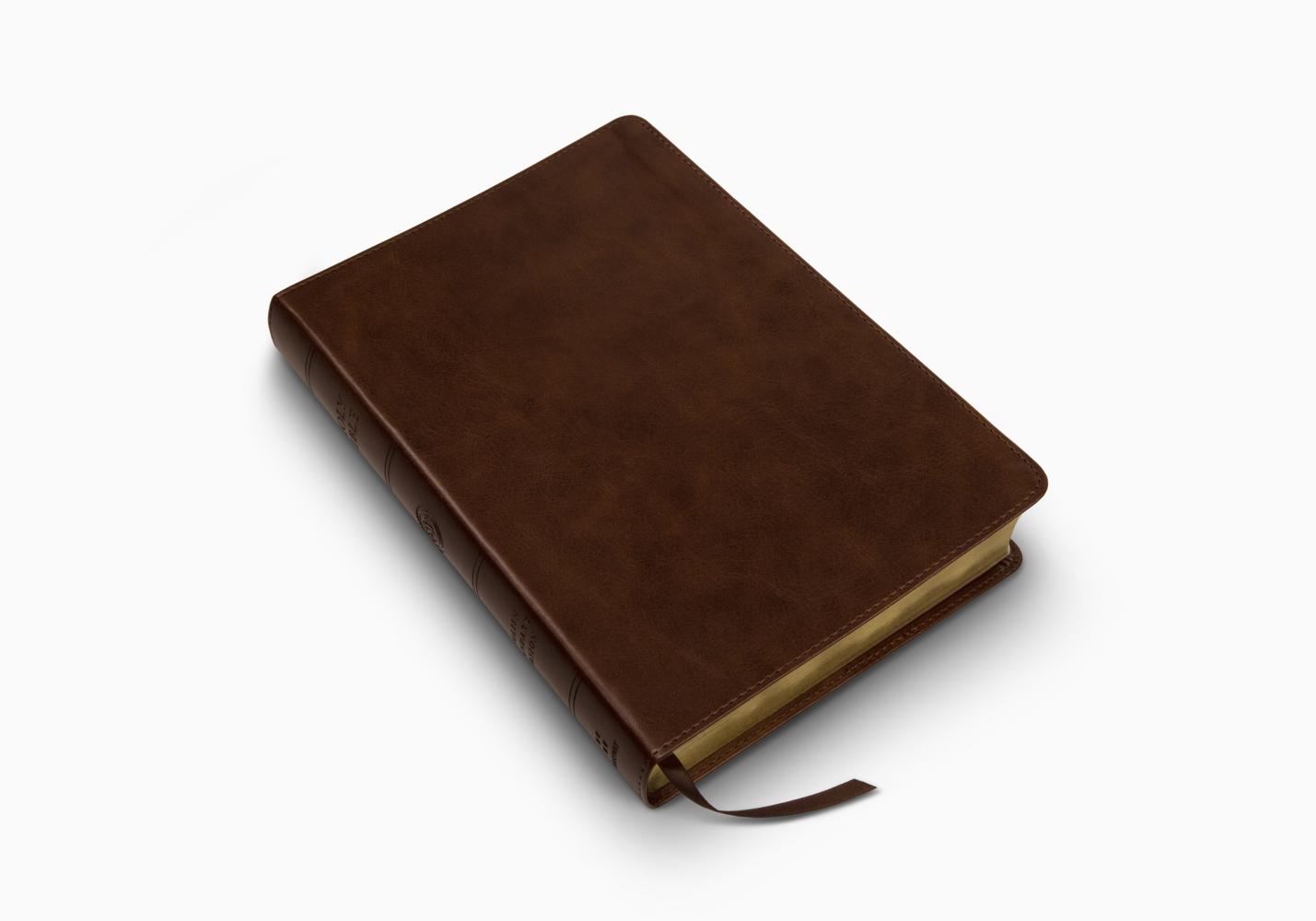 ESV LARGE PRINT BIBLE TT, DEEP BROWN